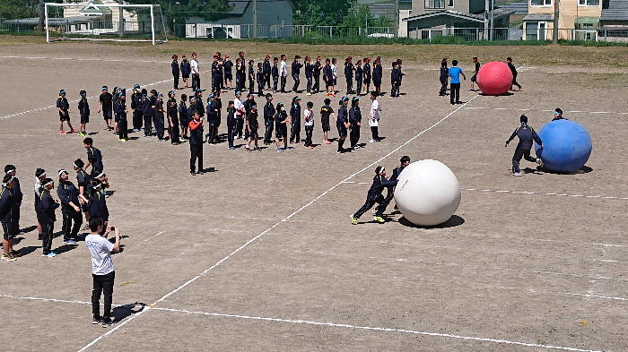 http://www.asahikawa-hkd.ed.jp/shunkoudai-jhs/oodama2.jpg