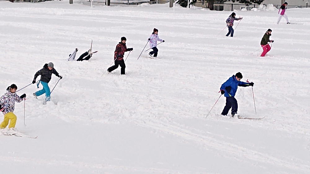 http://www.asahikawa-hkd.ed.jp/shunkoudai-jhs/suki-bado3.jpg