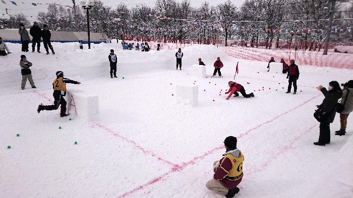 http://www.asahikawa-hkd.ed.jp/shunkoudai-jhs/yuki3.jpg