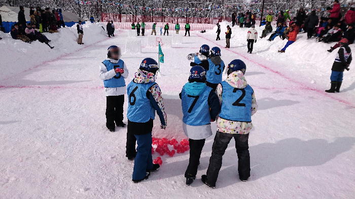http://www.asahikawa-hkd.ed.jp/shunkoudai-jhs/yuki4.jpg
