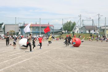 IMG_3406.JPG