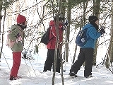 冬の野山.jpg