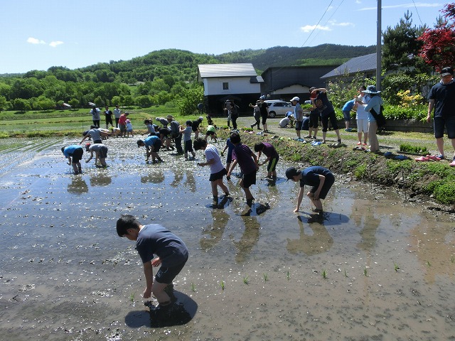 田植え②.jpg