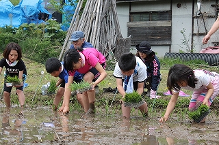 田植え.jpg