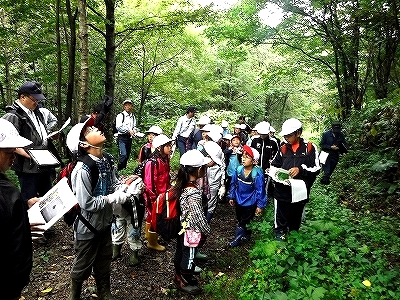 秋の野山.jpg