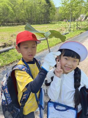 春の野山　低学年.JPG