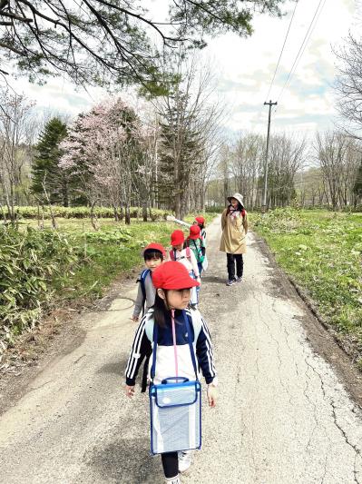 春の野山 低学年.JPG