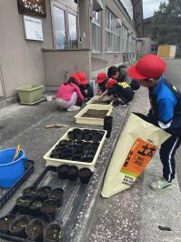 植え替え　ホームページ用.JPG