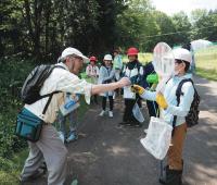 中　夏の野山.JPG