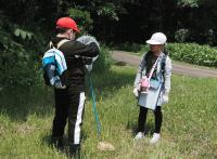 中夏の野山.JPG