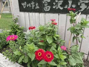 IMG_4078[1].JPG