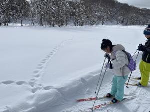 冬の野山 中学年3.JPG