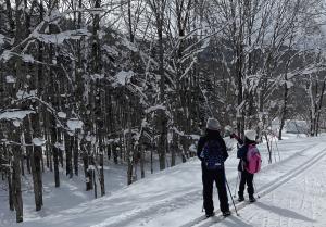 冬の野山　中学年.JPG