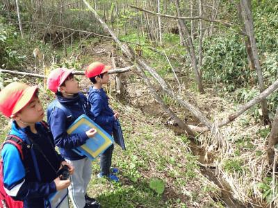 春の野山 中学年.JPG