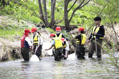 春の野山 高学年.JPG