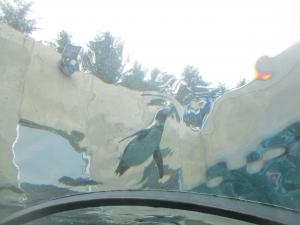 IMG_2028.JPG