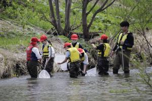 _MG_0113.JPGのサムネイル画像