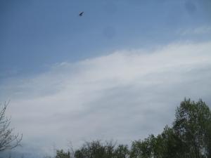 IMG_3464.JPG