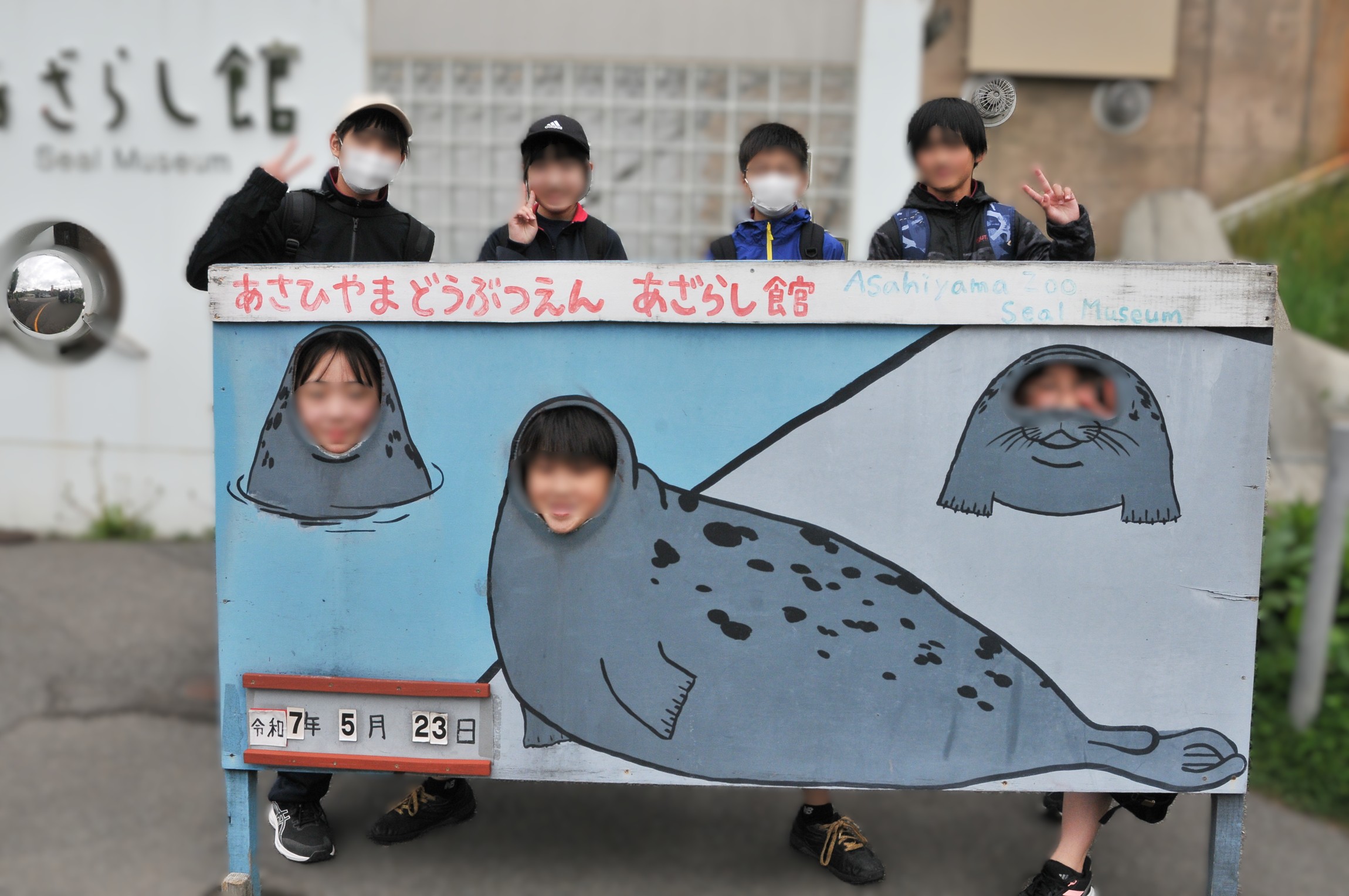 http://www.asahikawa-hkd.ed.jp/toumei-jhs/1017.jpg
