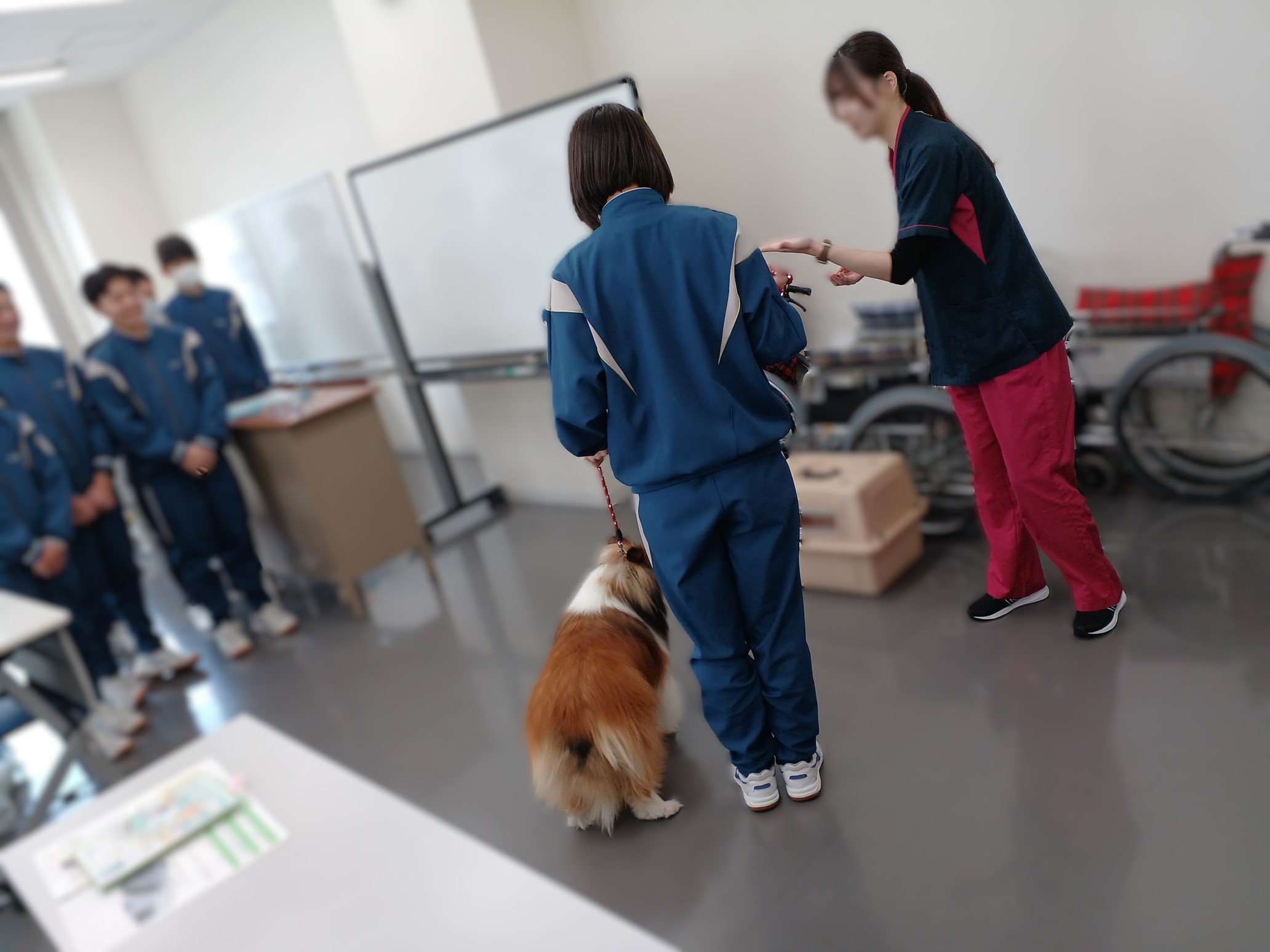 http://www.asahikawa-hkd.ed.jp/toumei-jhs/20241030_111544.jpg