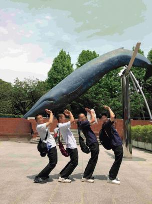 くじら.jpg