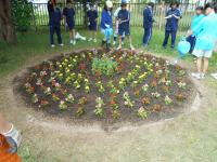 DSCN0376.JPG