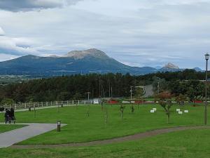 IMG00049.jpg